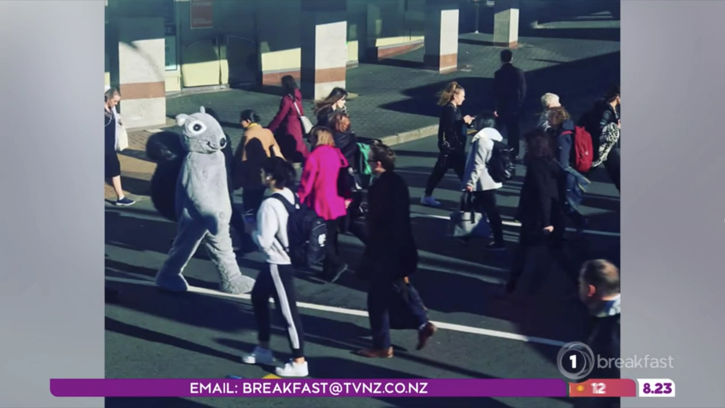 Fix & Fogg Chocolate Hazelnut Launch EightyOne