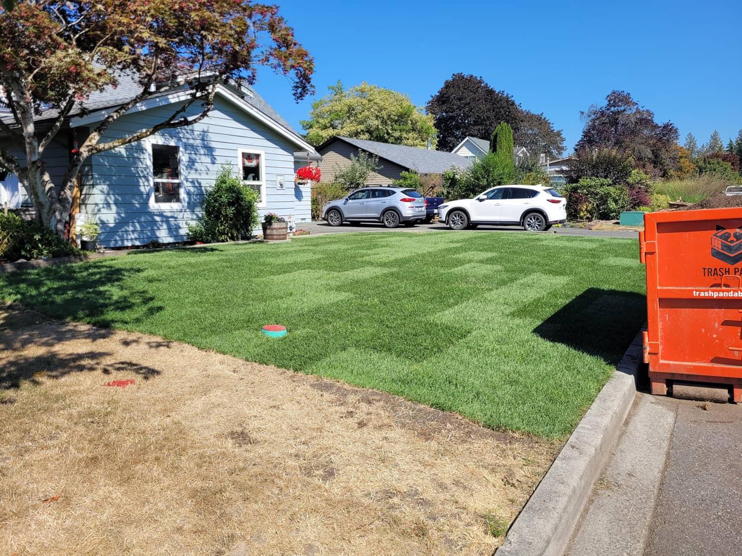 Sod vs. Grass Seed vs. Hydroseed Choosing the Best Option for a Lush Lawn