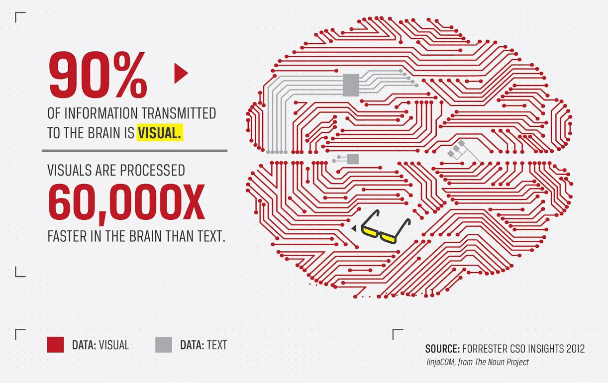 90 percent visual brain