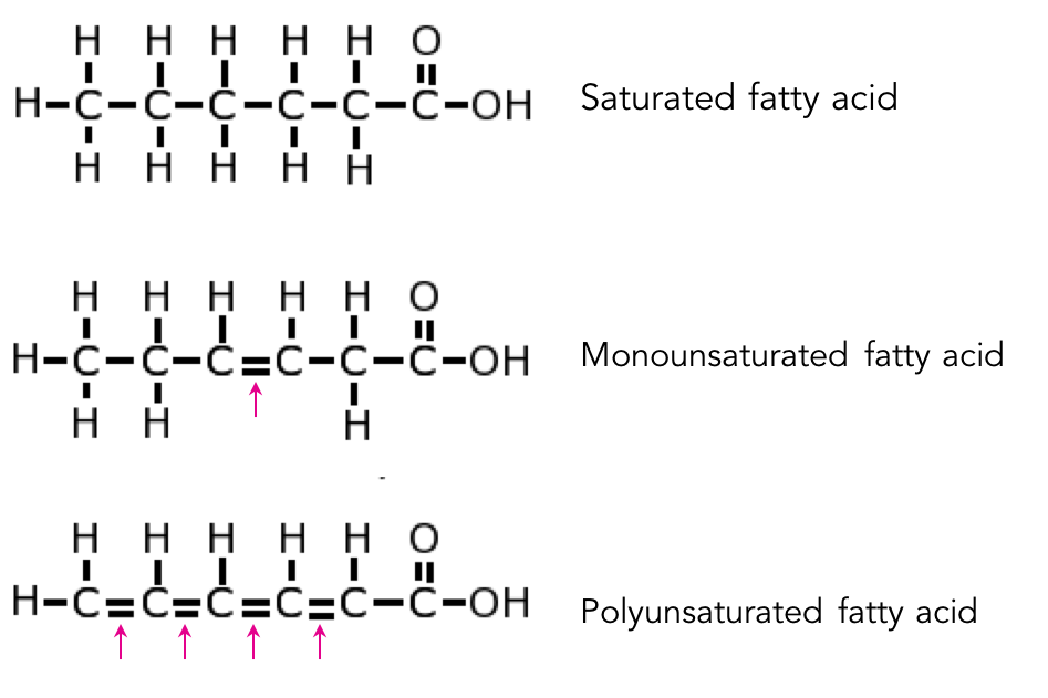 Mono And Polyunsaturated Fats Revolutionary - Mono Blood