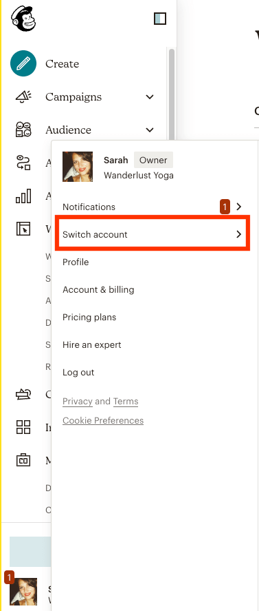 Switch Mailchimp account