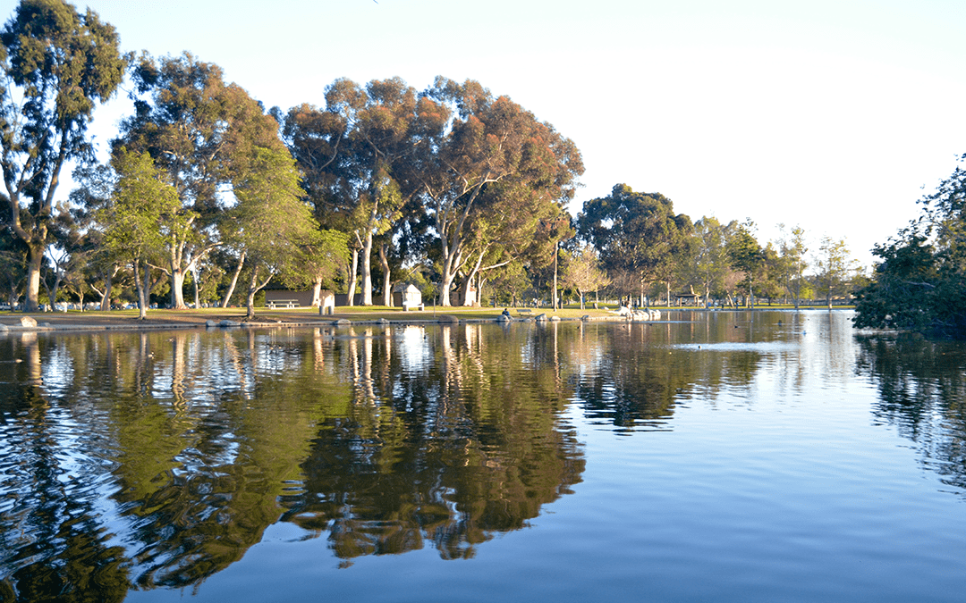 First Team Real Estate Agent Lily Campbell Hits 1 Billion Sales Milestone