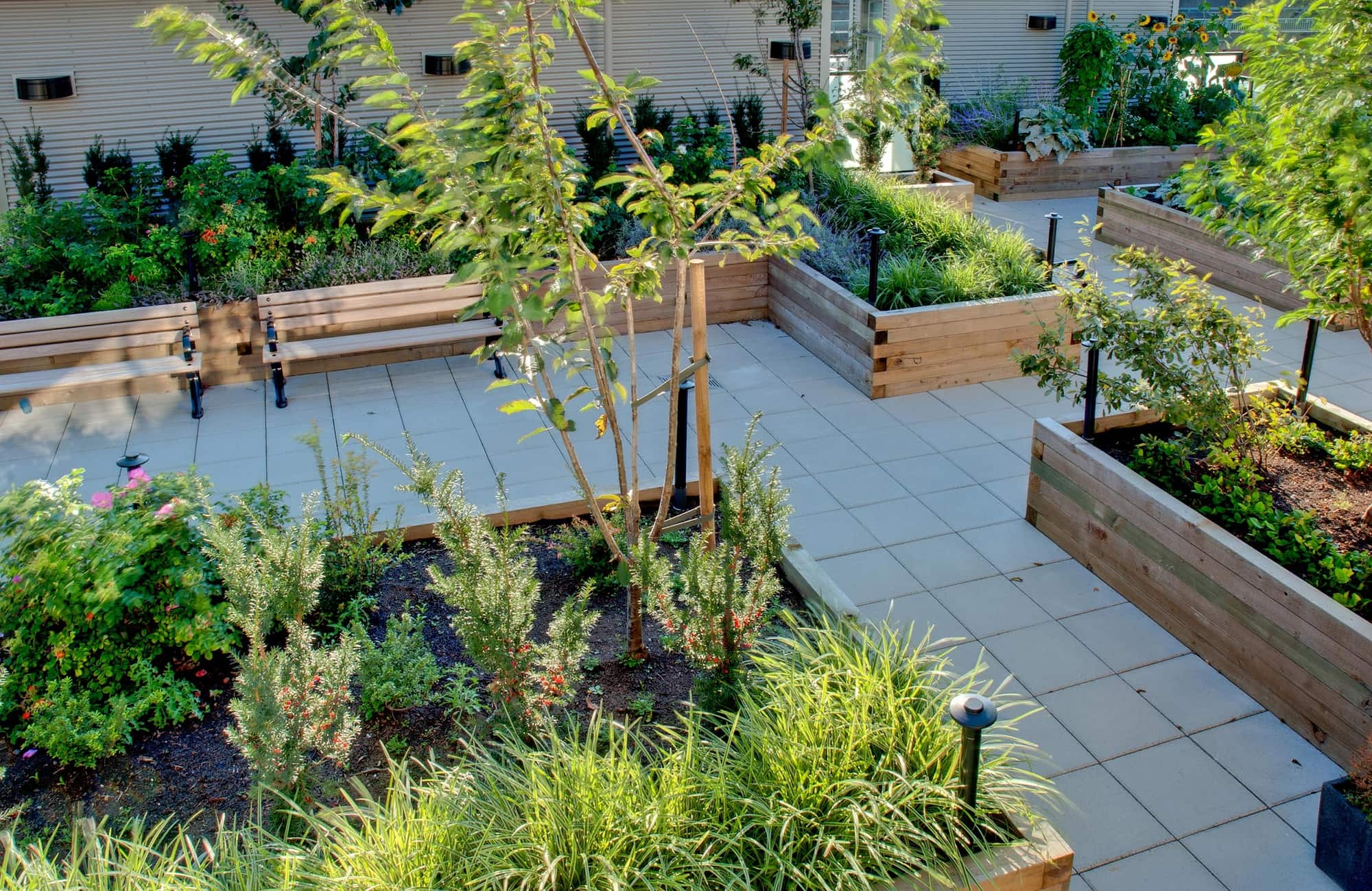 The Exchange Building — Houston Landscapes