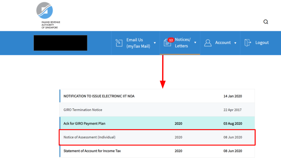 screenshot of income tax statement on IRAS portal