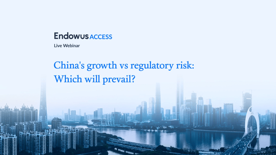 China growth vs regulatory risk — how can you invest better?
