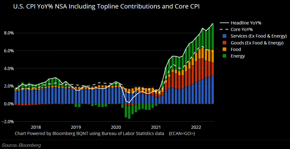 Graph on US CPI YoY% NSA including Topline contributions and core CPI