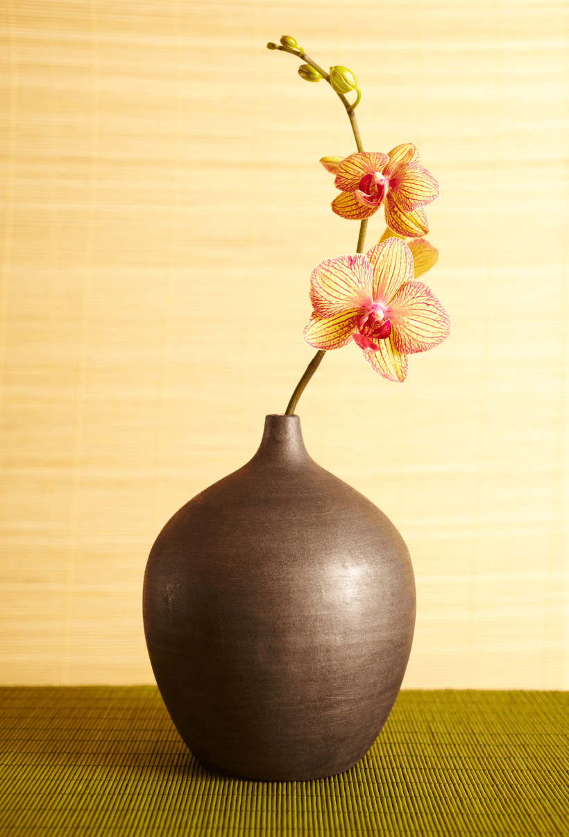 A beautiful pot of flower