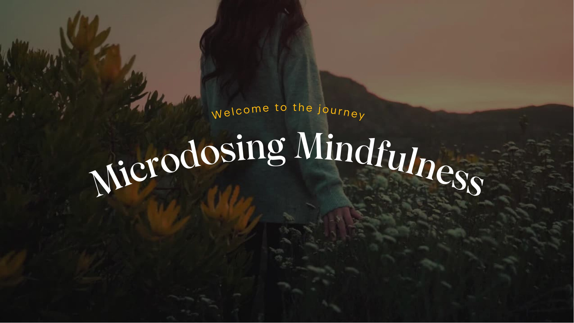 Microdosing Mindfulness