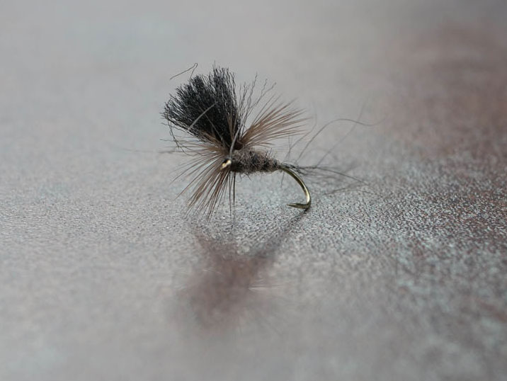 A Beginners Guide What's The Difference Between Wet And Dry Fly