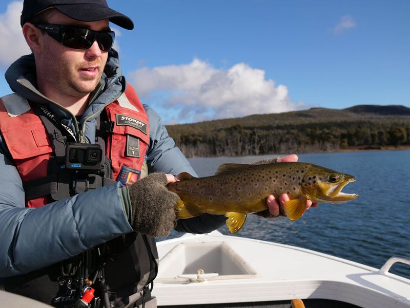 Trout Tales hosting workshop - fly fishing the highland lakes of