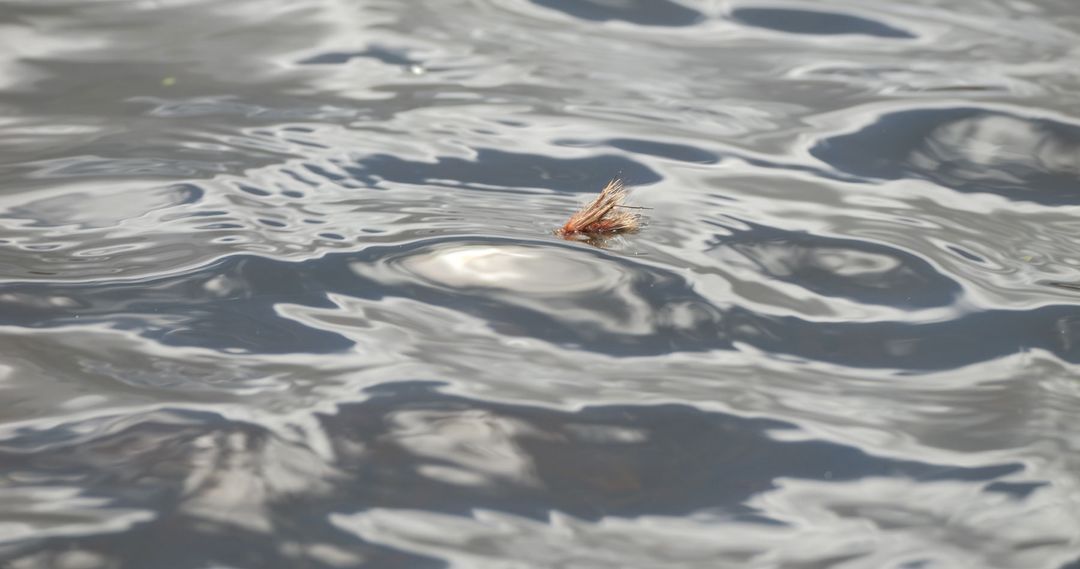 Trout Tales hosting fly fishing the highland lakes of