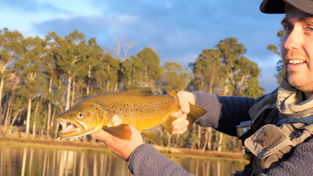 Tasmanian Flies And Patterns For Trout Fishing | Trout Tales Tasmania
