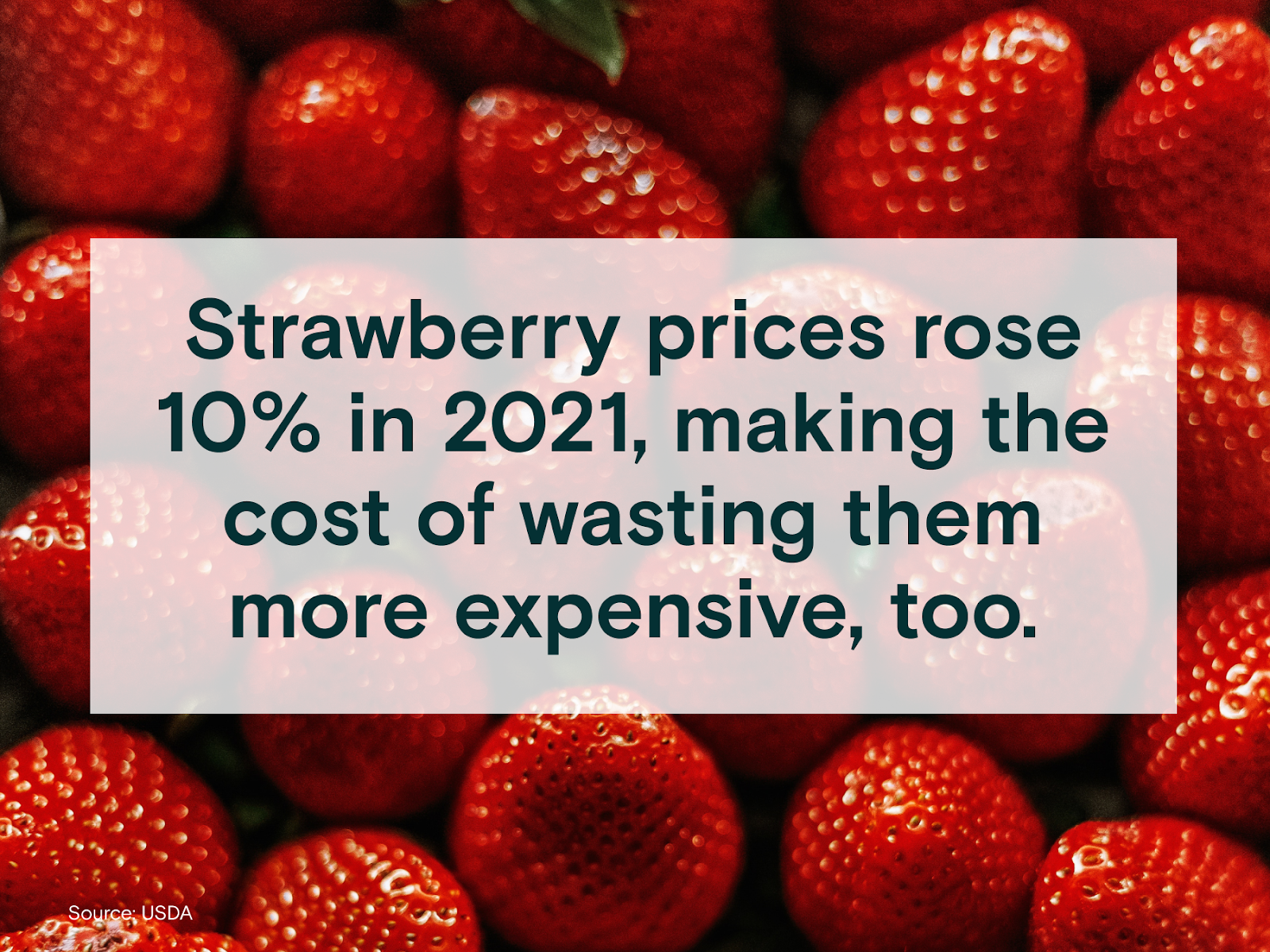 Red strawberries with a white text box on top: Strawberry prices rose 10% in 2021, making the cost of wasting them more expensive, too.m