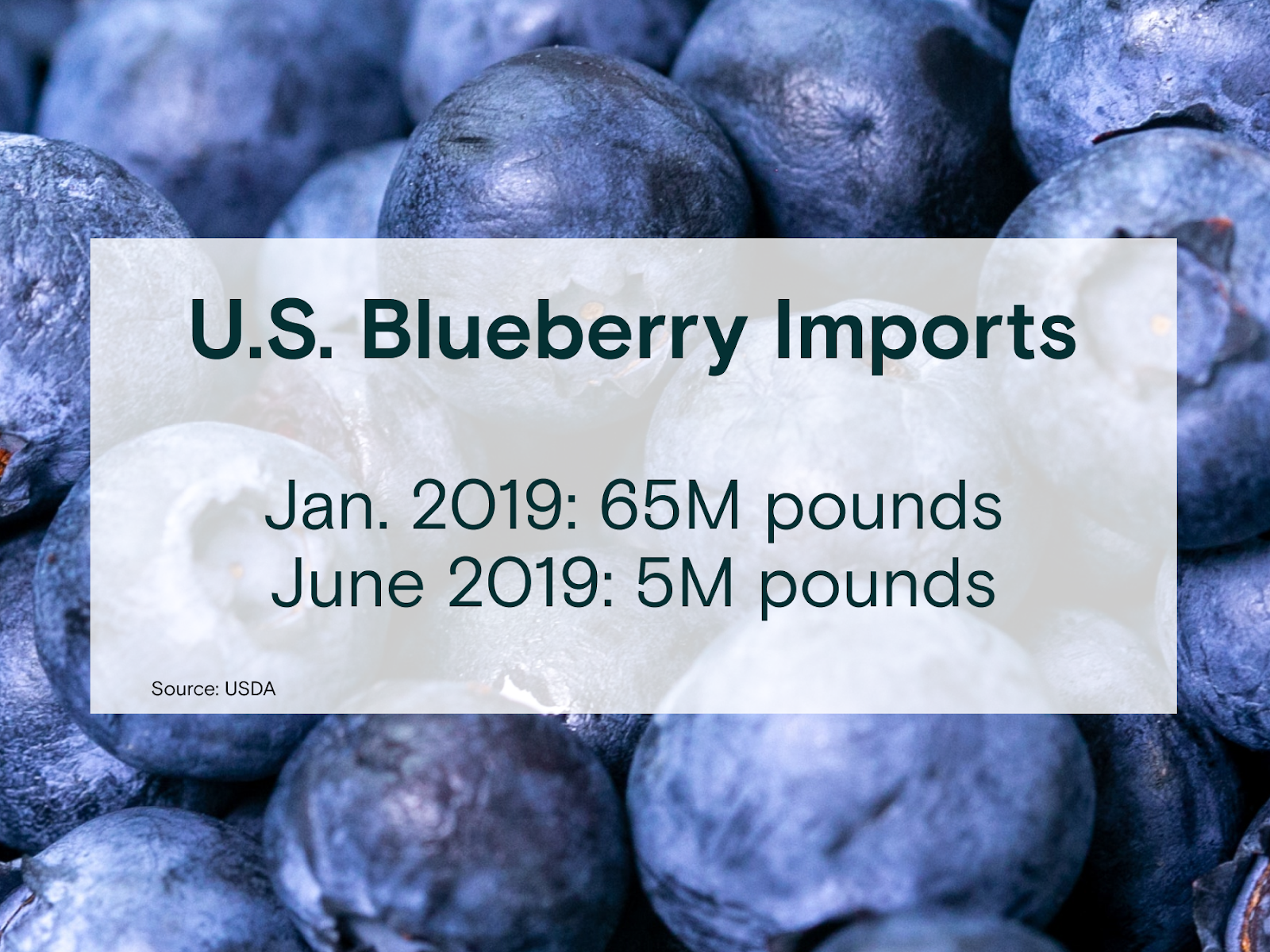 Fresh blueberries with a white box overlaid and black text reading: U.S. Blueberry Imports January 2019: 65M pounds. June 2019: 5M pounds