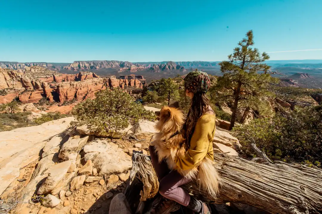 Are Dogs Allowed in Zion National Park?