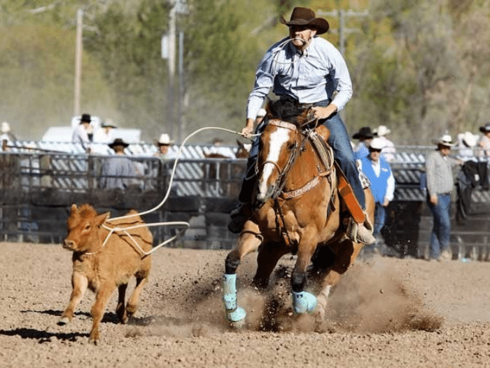 Dosen Rodeo Things to Do