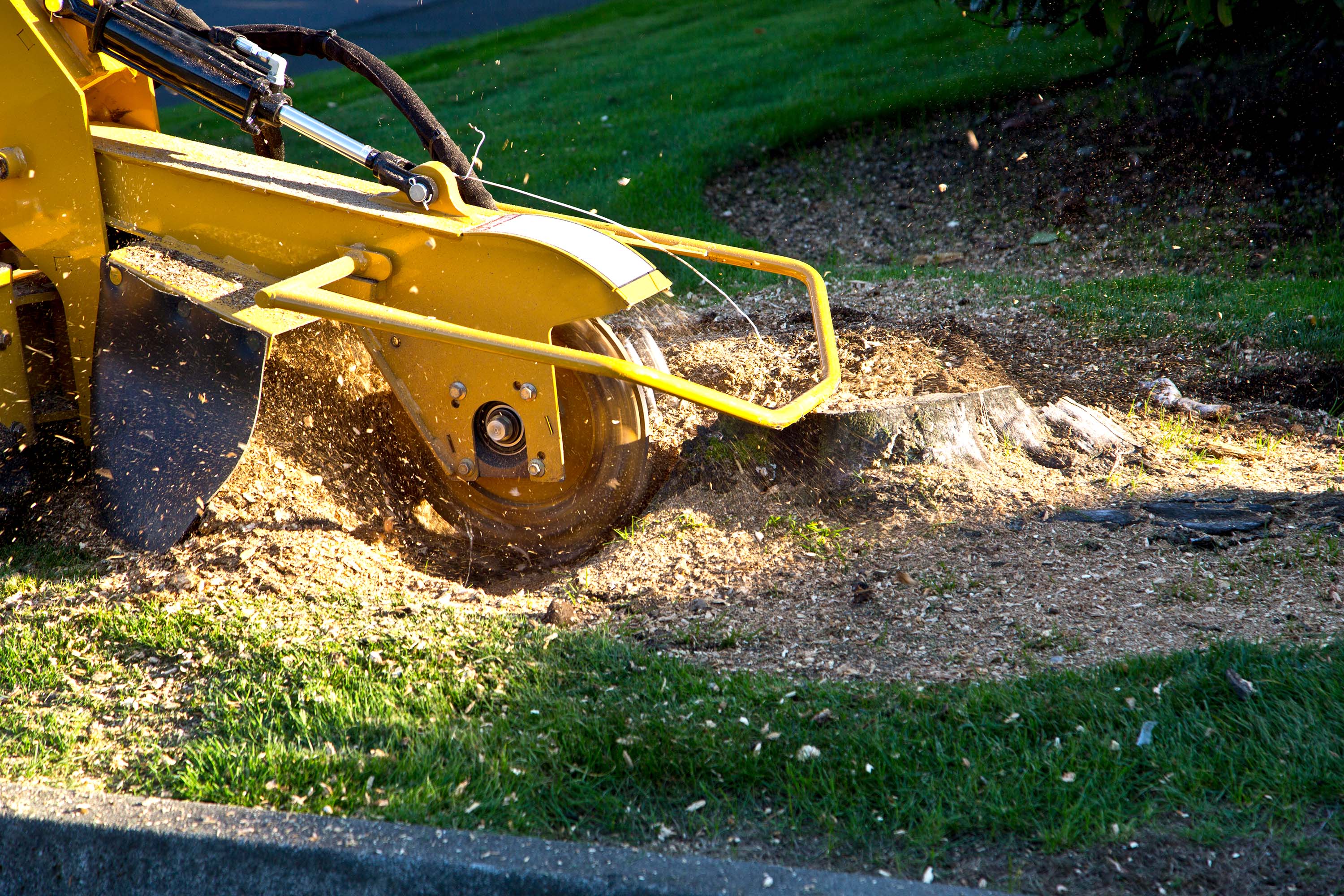 stump-removal