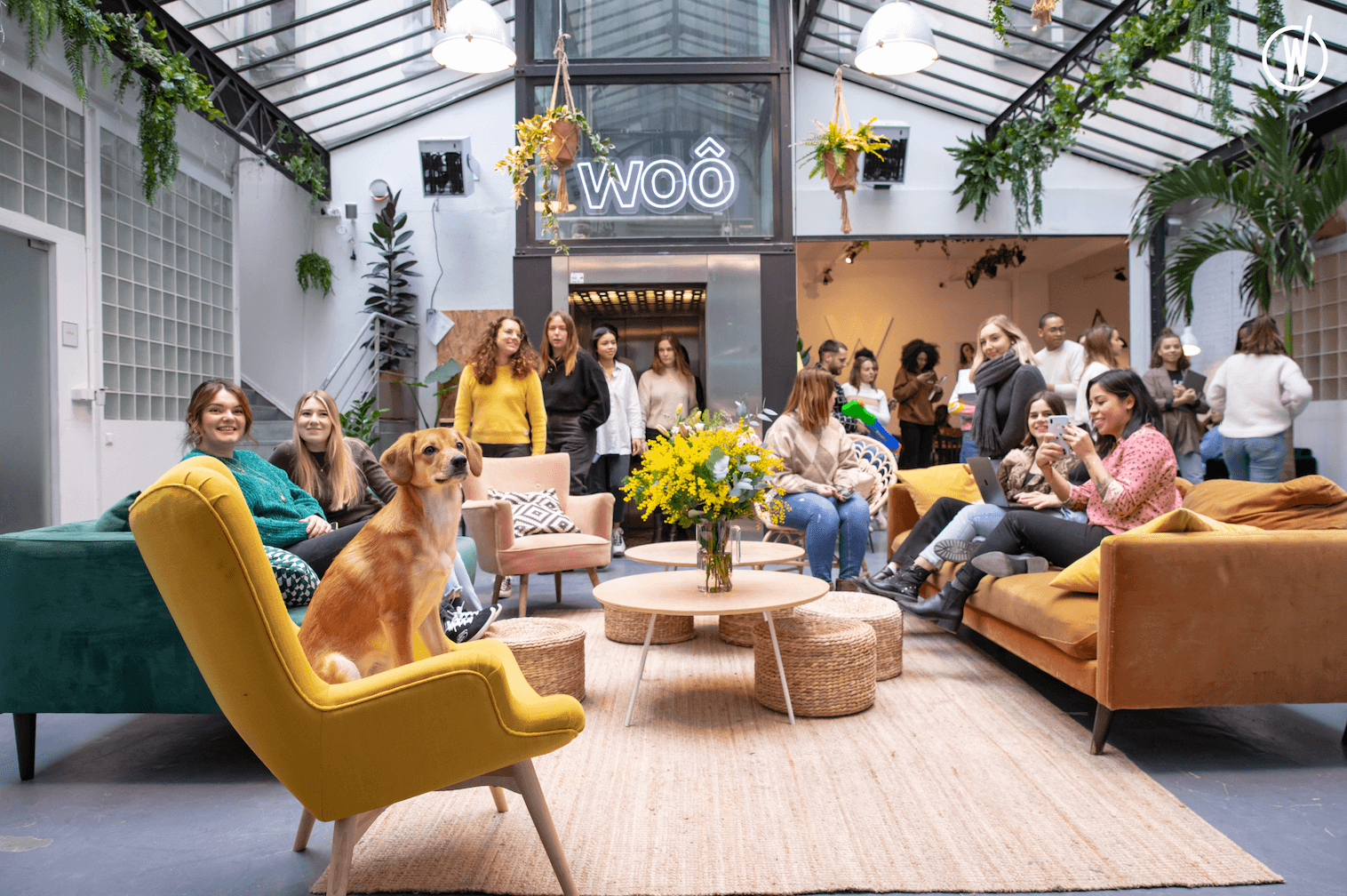 WOÔ, labellisée Best Candidate Experience 2021 par Speak & Act