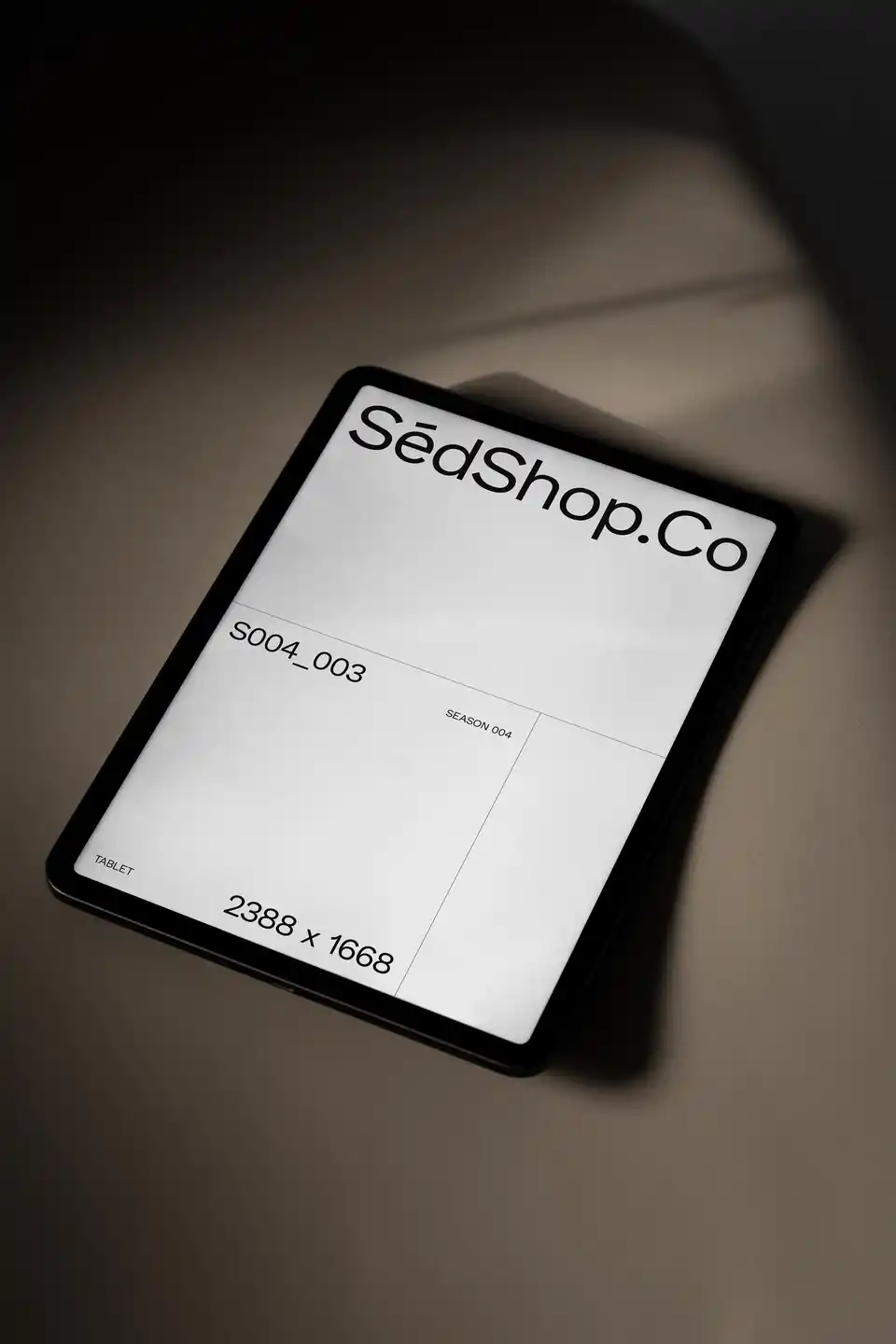 iPad Pro Screen Mockup S004003 Mockups