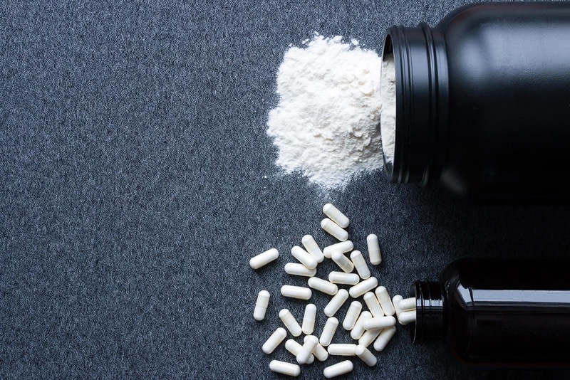 Creatine Supplement Market