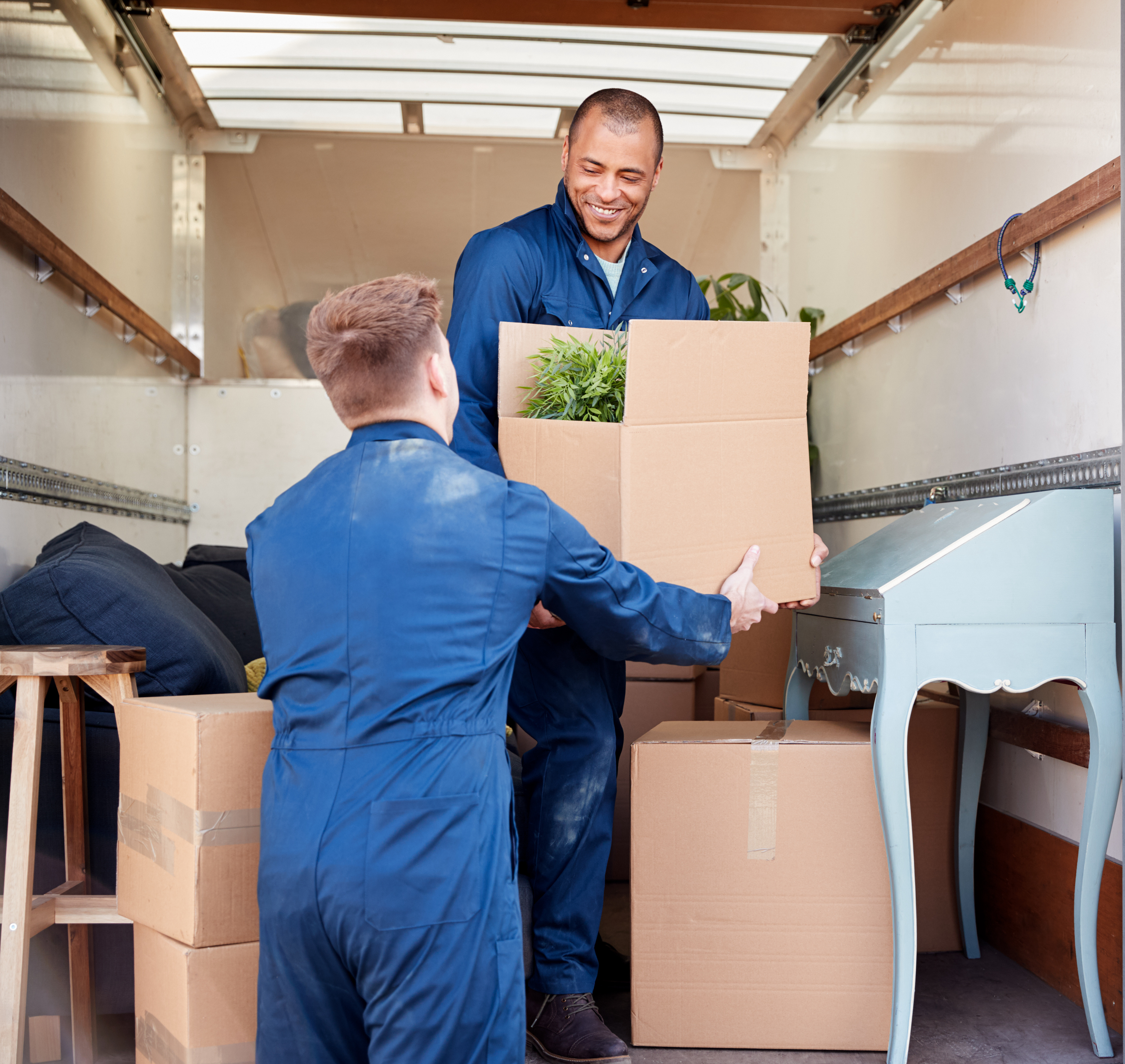 two guys moving a plant in a box