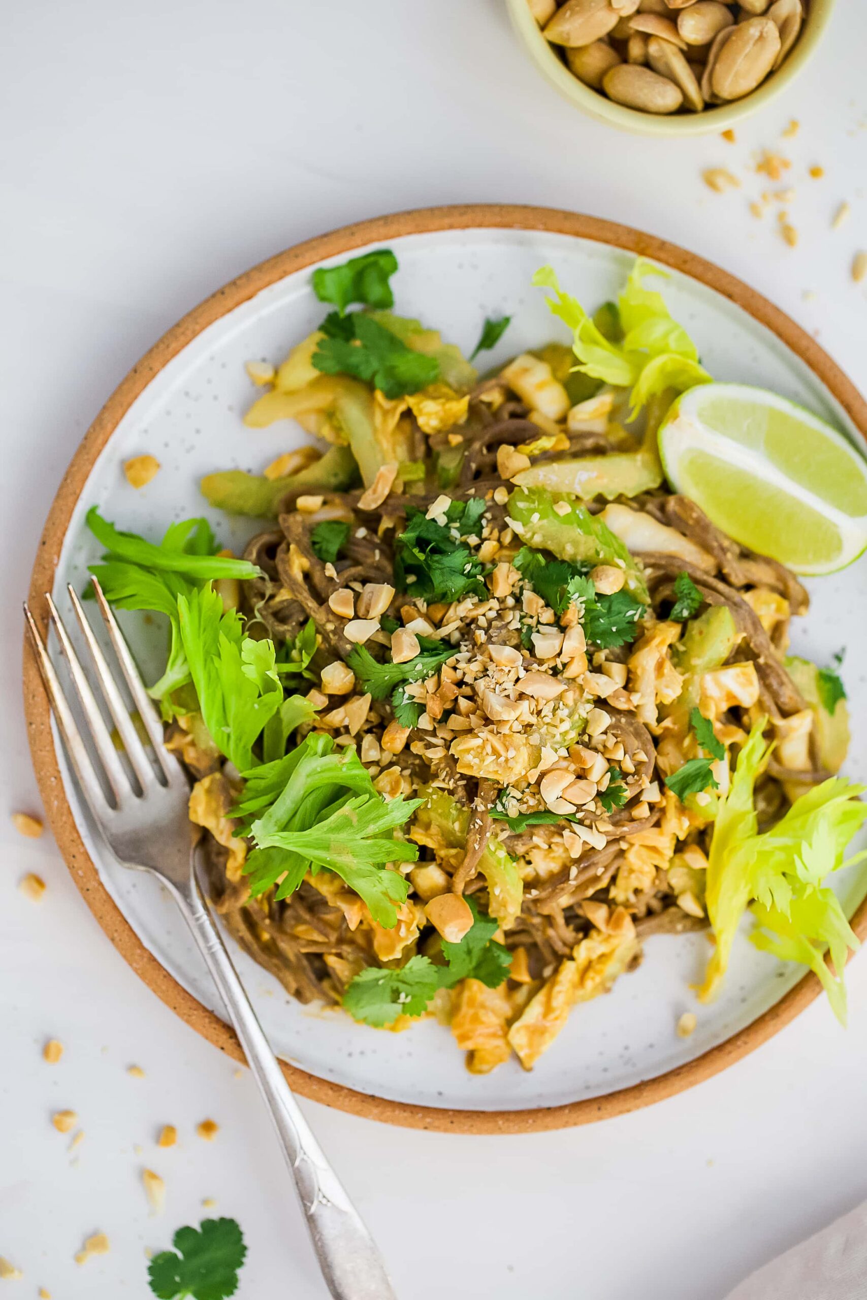 Soba Noodles with Peanut Sauce Ready in 20 minutes!
