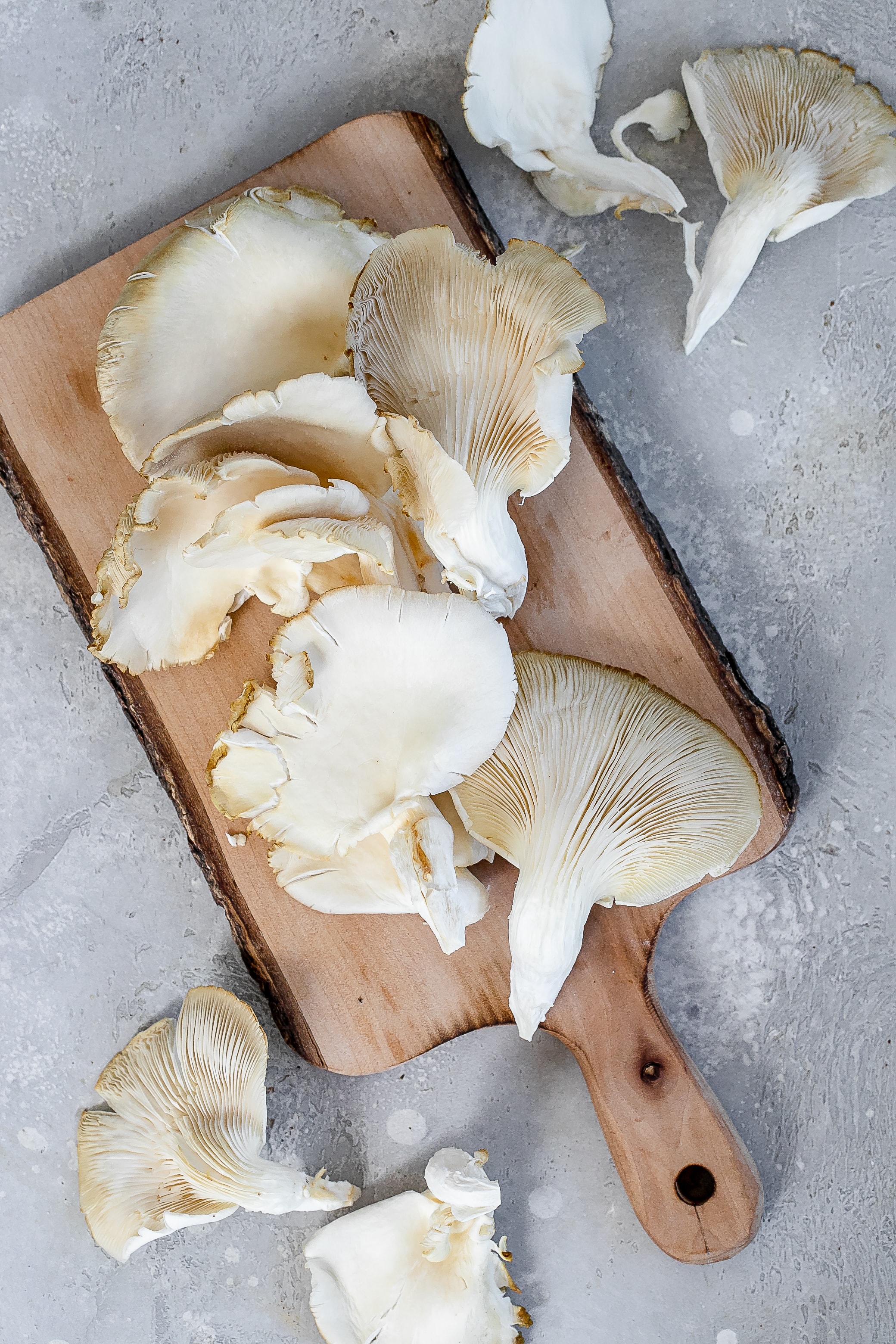 Warm Mushroom Salad with Arugula