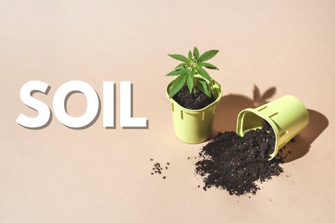 Soil for cannabis growing