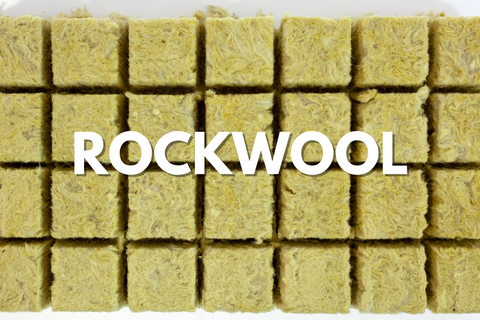 Rock wool cubes for cannabis growing