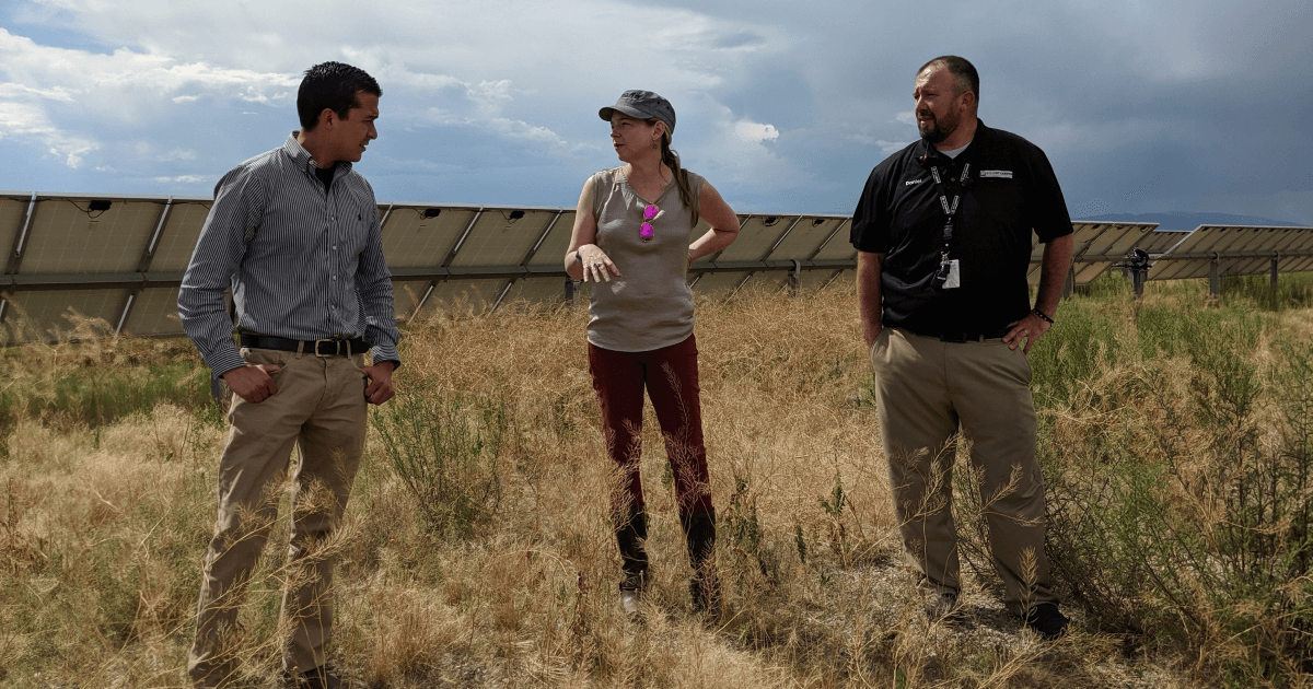 Careers | Camus Energy