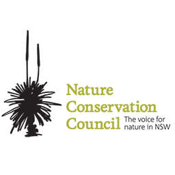 ncc-nsw