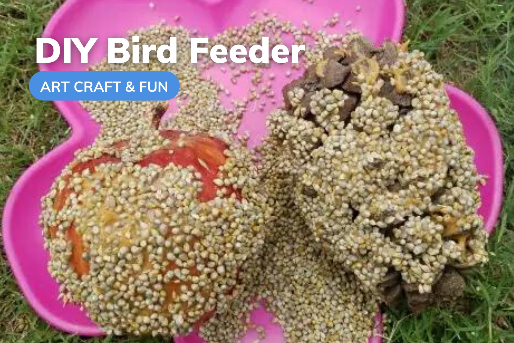 peanut butter bird feeder diy craft for kids