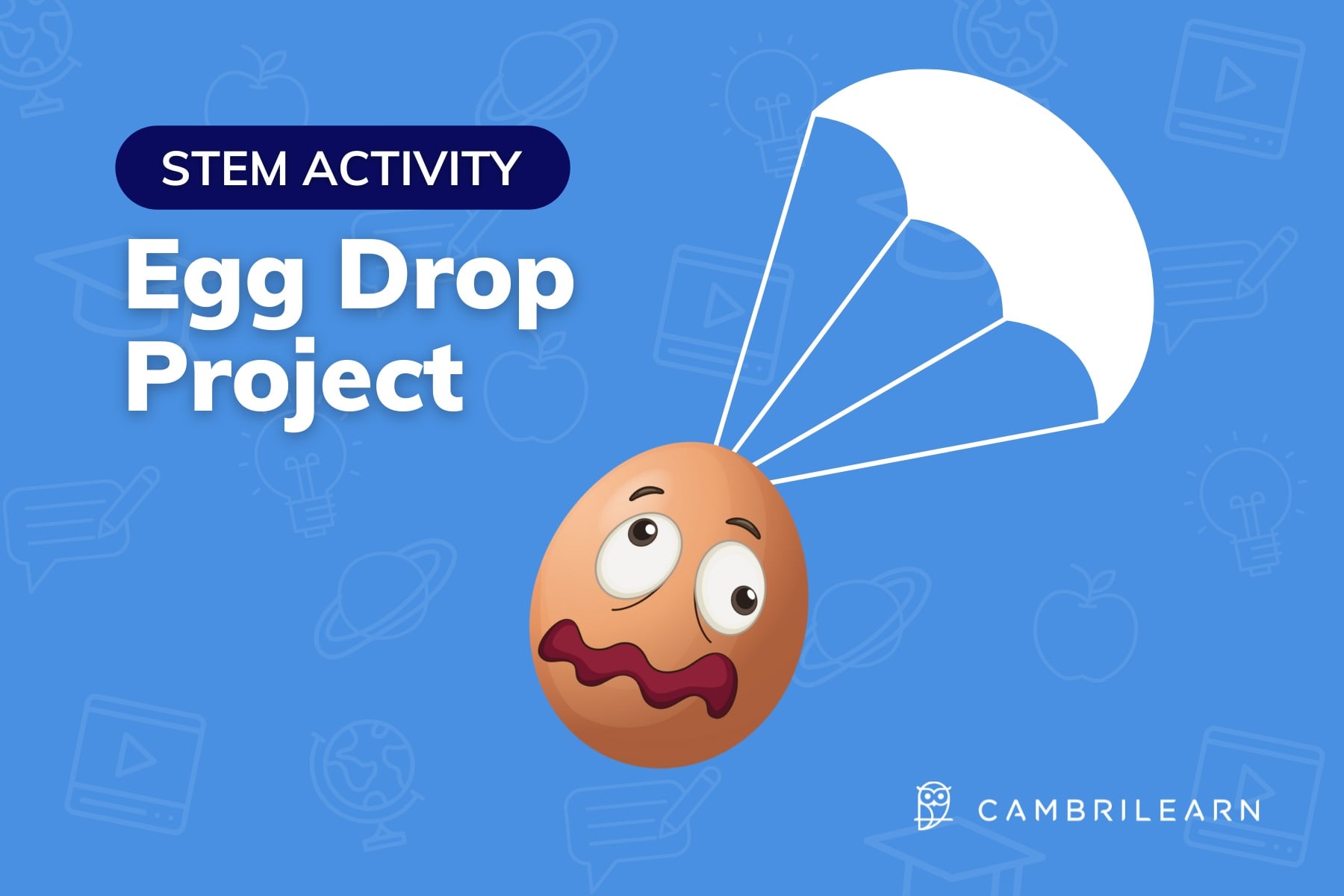 easy stem activity - the egg drop project