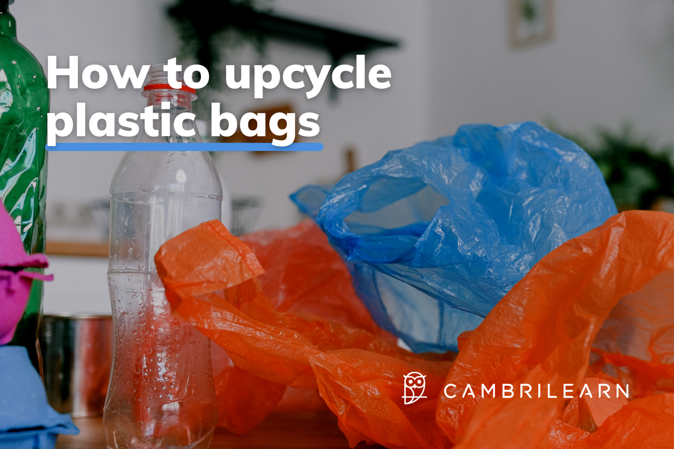 how to upcycle plastic bags - photo of plastic bags with the question what can you do with plastic bags