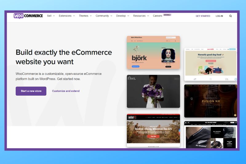 Homepage of woocommerce.