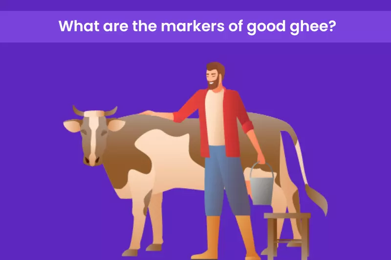 How To Sell Ghee Online On Amazon In 2024 (Step By Step Method)