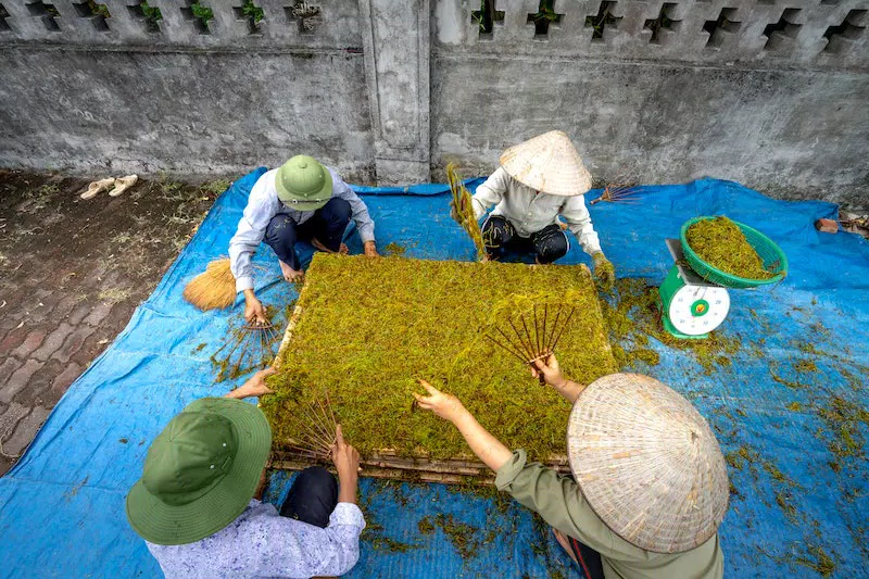 4 man cleaning peas