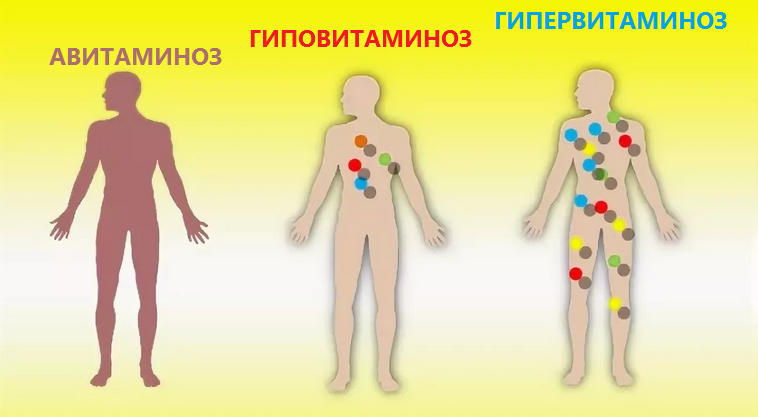 Профилактика