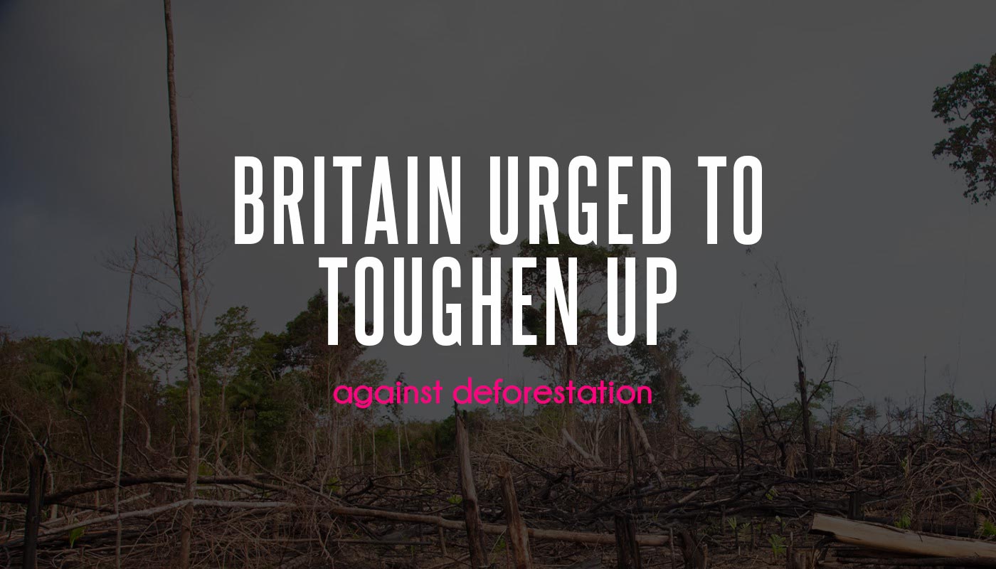 Food Companies Urge Britain To Toughen Up Over Deforestation
