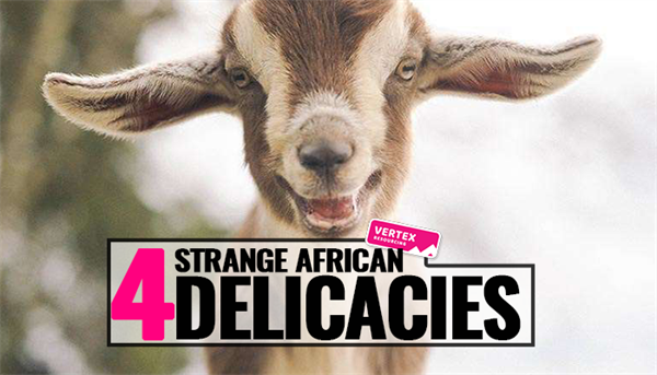 4 STRANGE AFRICAN DELICACIES