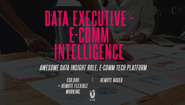 Data Executive - e-Comm Intelligence