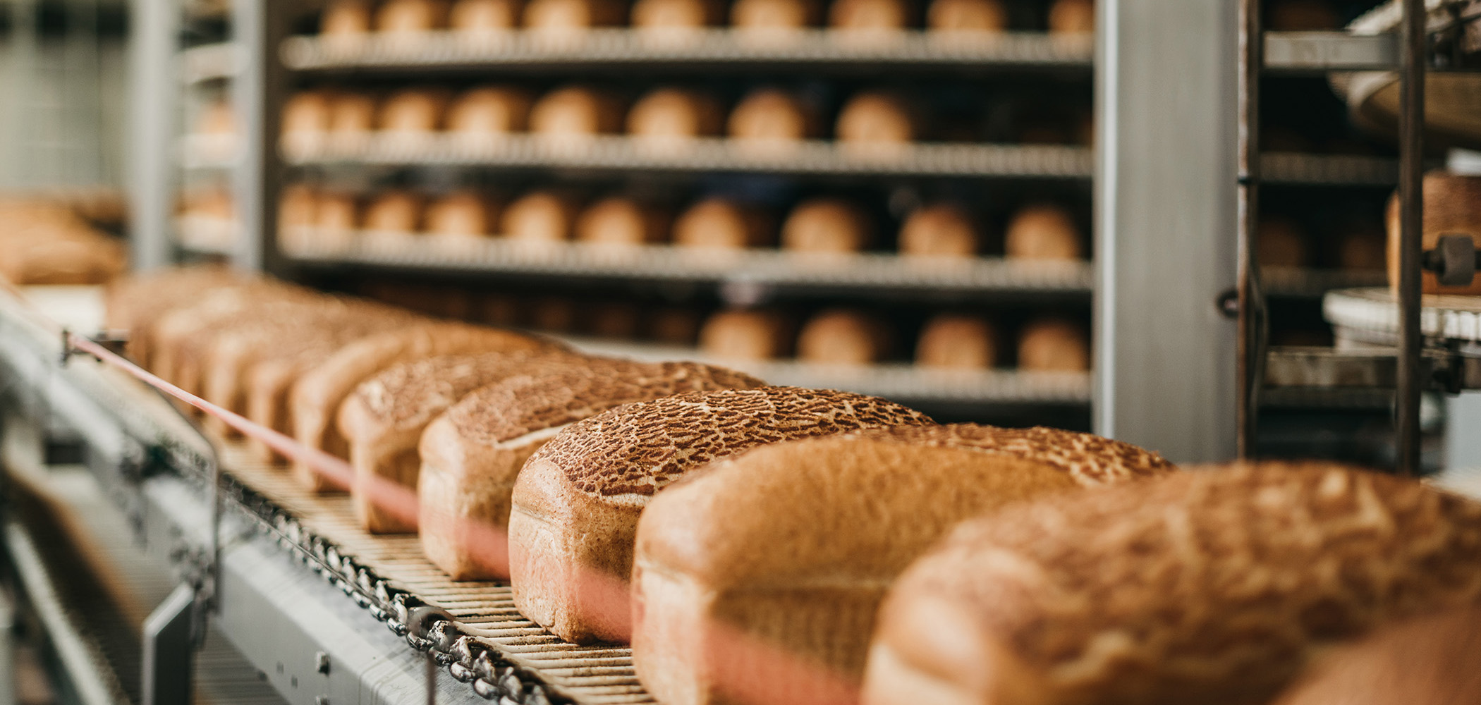 What is H1 Food Grade Lubricant Classification? PLC Blog