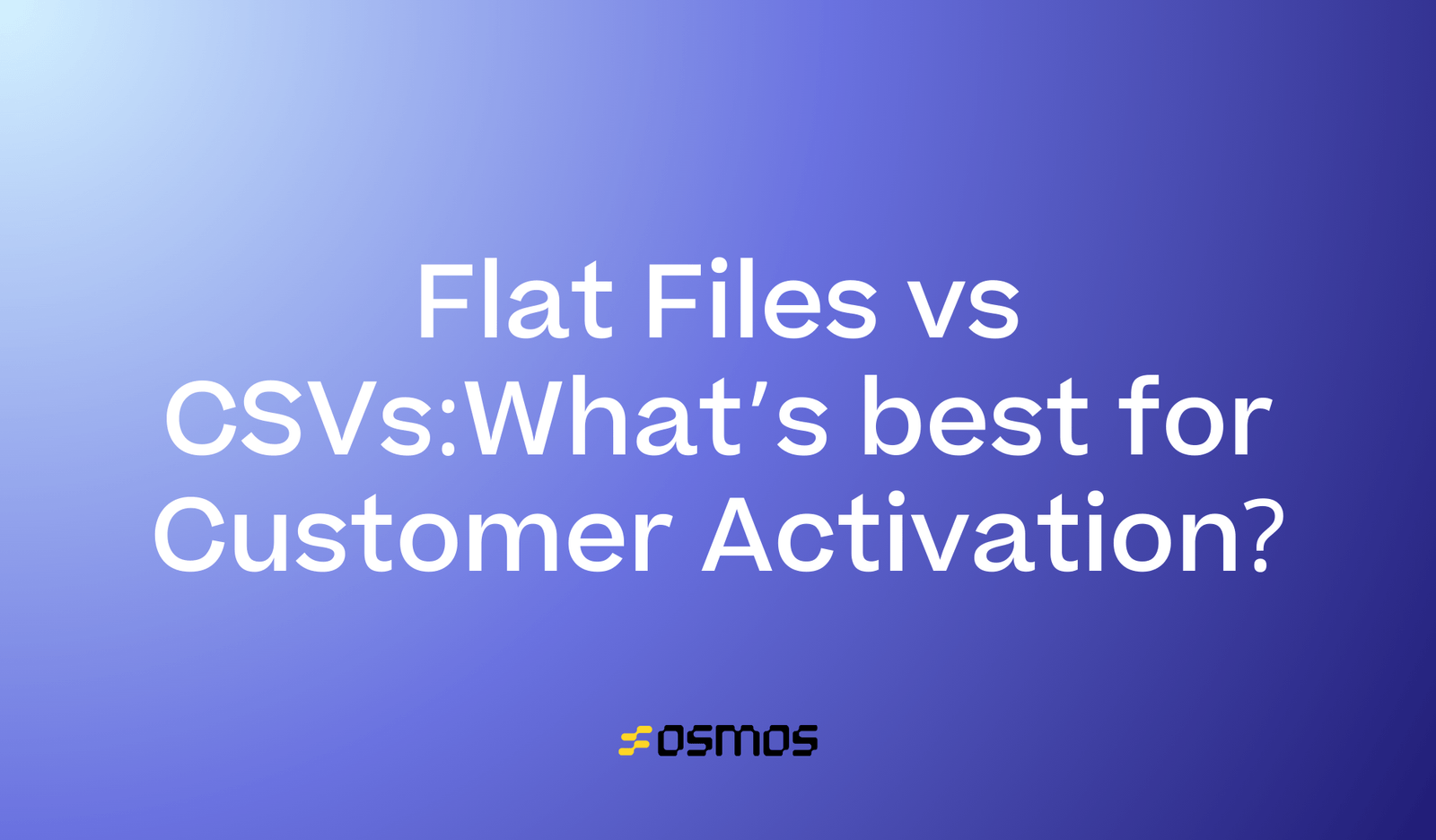 Flat Files vs CSVs What’s Best for Customer Activation?