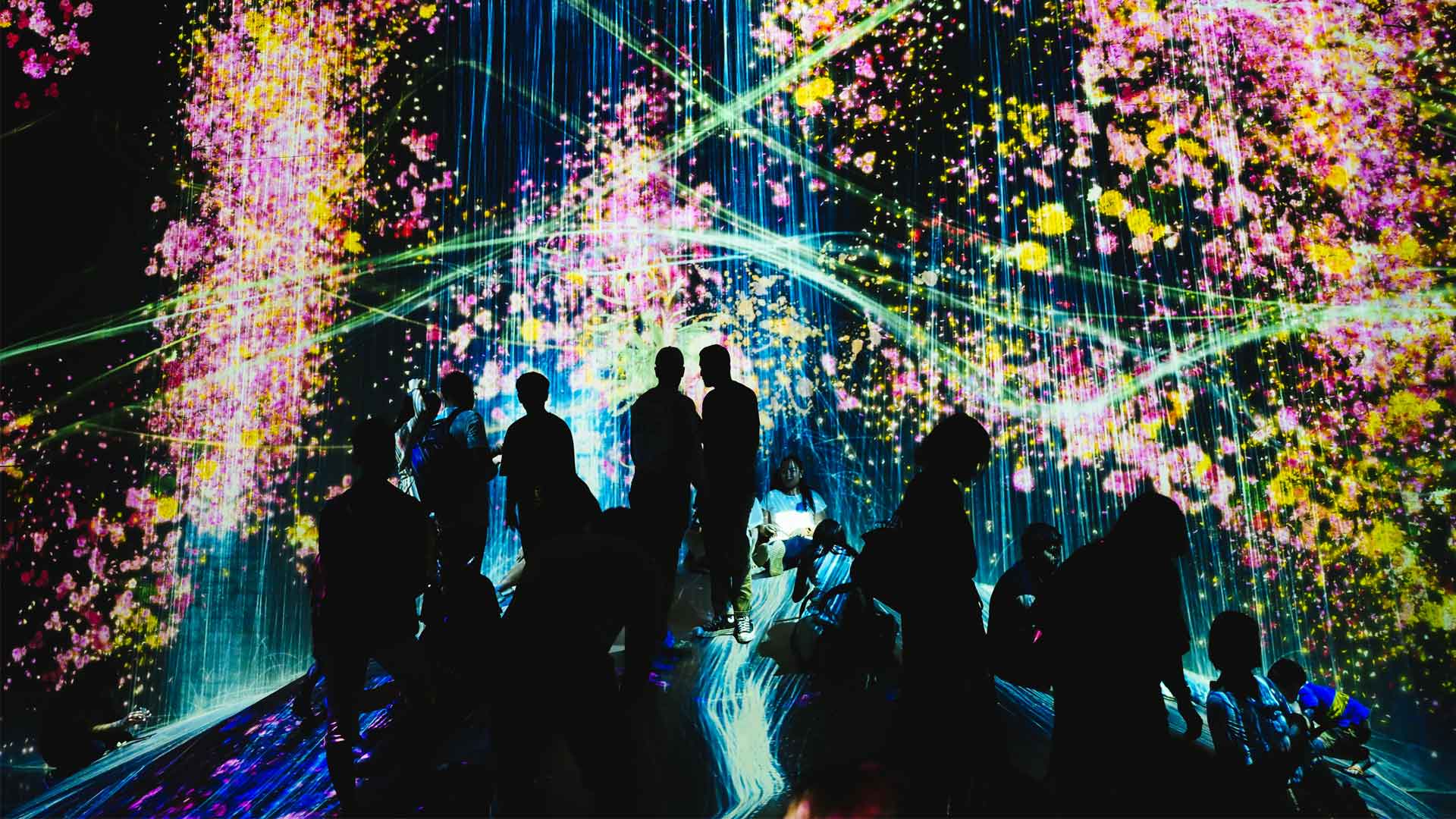 Expert SEO Services from Never Settle