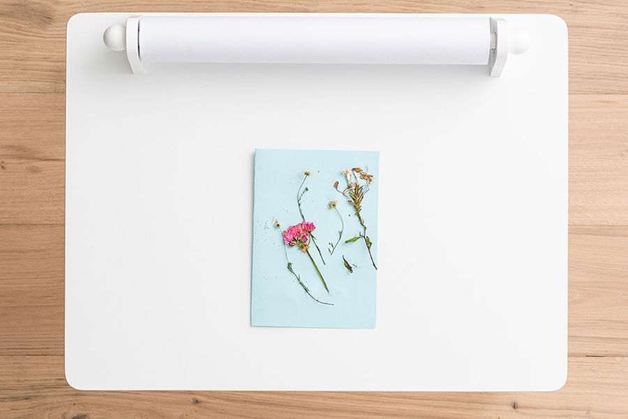 Autumn art and craft activity for kids to do at home: pressed flower keepsake