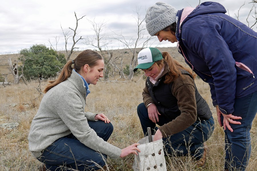 Miranda and Ivy McGufficke and their mother Michelle participating in tree planting on their NSW sheep farm.