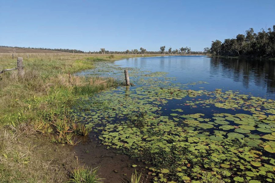 Tree planting around Lake Mary and Serpentine Lagoon has helped restore the natural environment.