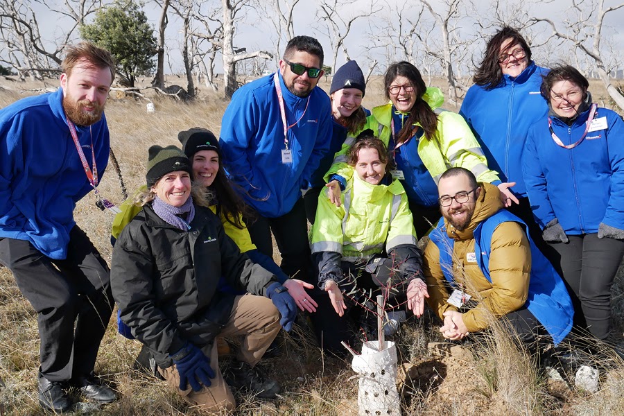 Tree planting on the McGufficke family property near Cooma is helping improve the natural environment.