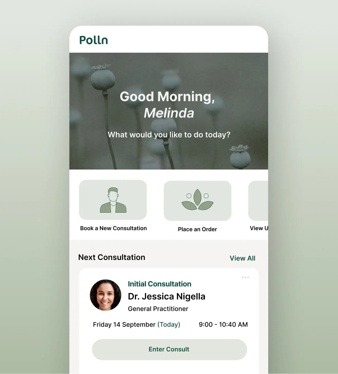 Polln Com Online Clinic for Natural Therapies In Australia - Polln