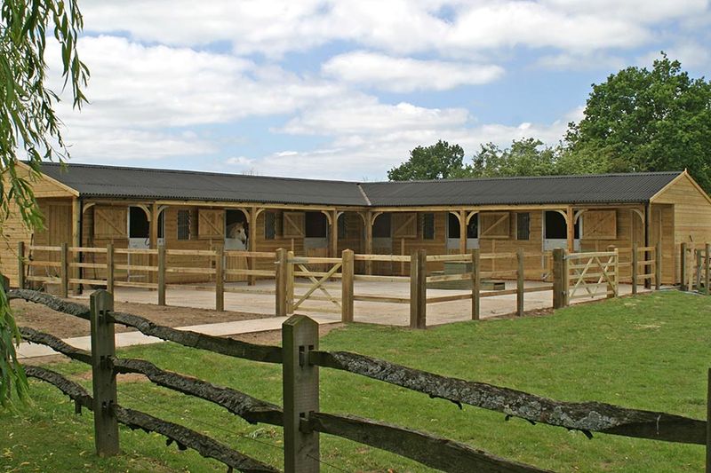 Free Horses For Sale Near Me The Secret Stables With Free Horses Revealed - rzzgl37